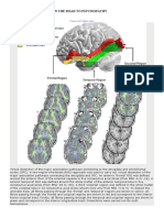 Altered Connections On The Road To Psychopathy