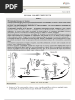 AP Funaria