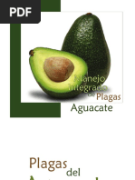 Mipe Aguacate CCI