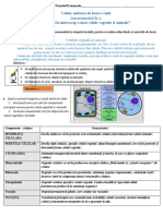 Lucrare Practică VIII Celula