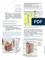 Tema 2, Estructura Osea, MN