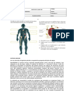 Plan de Apoyo D7 8° Inmune