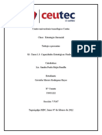 S3 - Tarea 1.3 - Capacidades Estrategicas Nucleares - Cristofer - R - 31611222