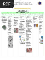 Tarea #3 Balantidiasis y Criptosporidiasis - Marìa Susana Alvarez