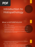 Introduction To Histopathology