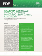 Relatório Amazônia em Chamas