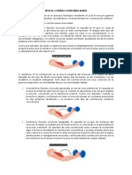 Lectura Contracciones Musculares