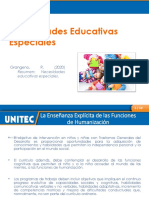 Necesidades Educativas Especiales