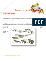 Métodos y Técnicas de Investigación en Anfibios