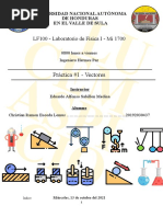 Practica 1 - Vectores y Fuerzas Concurrentes