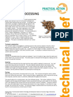 Turmeric Processing: Curcuma Domestica Zingiberaceae