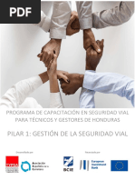 Pilar 1 - Gestiòn de Seguridad Vìal