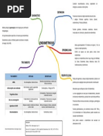 Mapa Mental Endometriosis