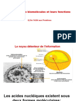 Diaporama ADN Protéine