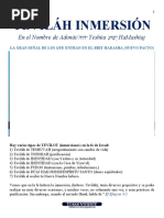 Teviláh Inmersión: En El Nombre De Adonái/הוהי Yeshúa ַעוּשֵׁי Hamashíaj