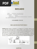 Secador Rotatorio