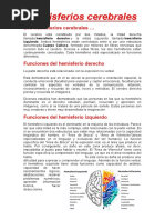 Hemisferios y Lóbulos Cerebrales