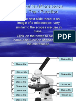 Parts of The Microscope and Functions PPT 1