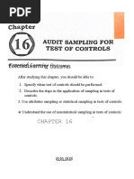 Chapter 16 Auditing