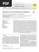 Combustion and Flame: Hsuchew Lee, Peng Dai, Minping Wan, Andrei N. Lipatnikov