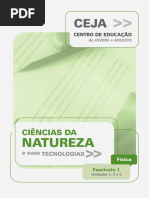 1 Ceja Fisica