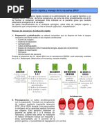 Resumen de Secuencia de Incubación Rápida