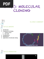 Ud7 (I) : Molecular Cloning: Dra Maria V. Monserrat