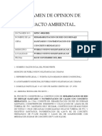 Dictamen de Opinion de Impacto Ambiental