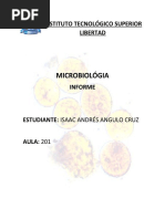 Album de Parasitologia