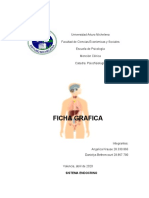 PSICOFISIOLOGIA