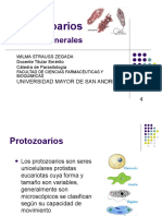 Protozoarios Intestinales