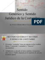 Sentido Generico y Sentido Juridico de La Costumbre