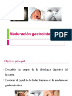 Maduracion Del Sistema Digestivo