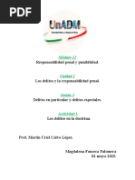 Responsabilidad Penal y Punibilidad.: Módulo 12