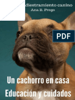 Un Cachorro en Casa - Educacion - Ana Belen Prego Alvarez