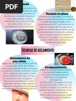 Técnicas de Aislamiento