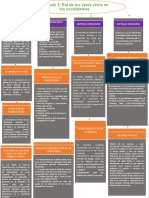 MAPA CONCEPTUAL CAPITULO 3 Ambiente y Sustentabilidad