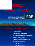 Atrial Flagellates: Romeo D. Dolar, JR MD Fpogs, Fpasmap, Papshpi