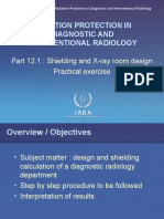 RPDIR-P12.1 Shielding Calculation WEB