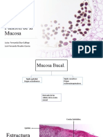 Estructura y Funcion de La Mucosa Oral