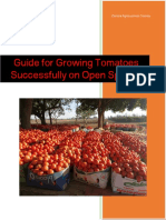 Guide For Growing Tomatoes Successfully On Open Space Zas