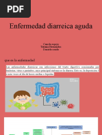 Enfermedad Diarreica Aguda