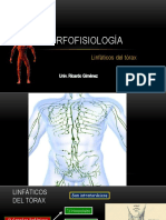 A19. Linfáticos Del Tórax