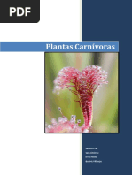 Plantas Carnivoras