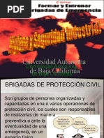 Brigadas de Proteccion Civil