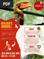 Walden's Hornbill Infographic