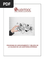 Programa de Aseguramiento y Mejora de La Calidad de Las Auditorias Internas