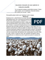 Folosirea Țesutului Mecanic Al Unor Plante in Industria Textilă.