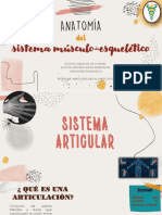 Sistema Articular y Muscular