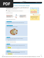 Números Fraccionarios. Fracción Propia e Impropia